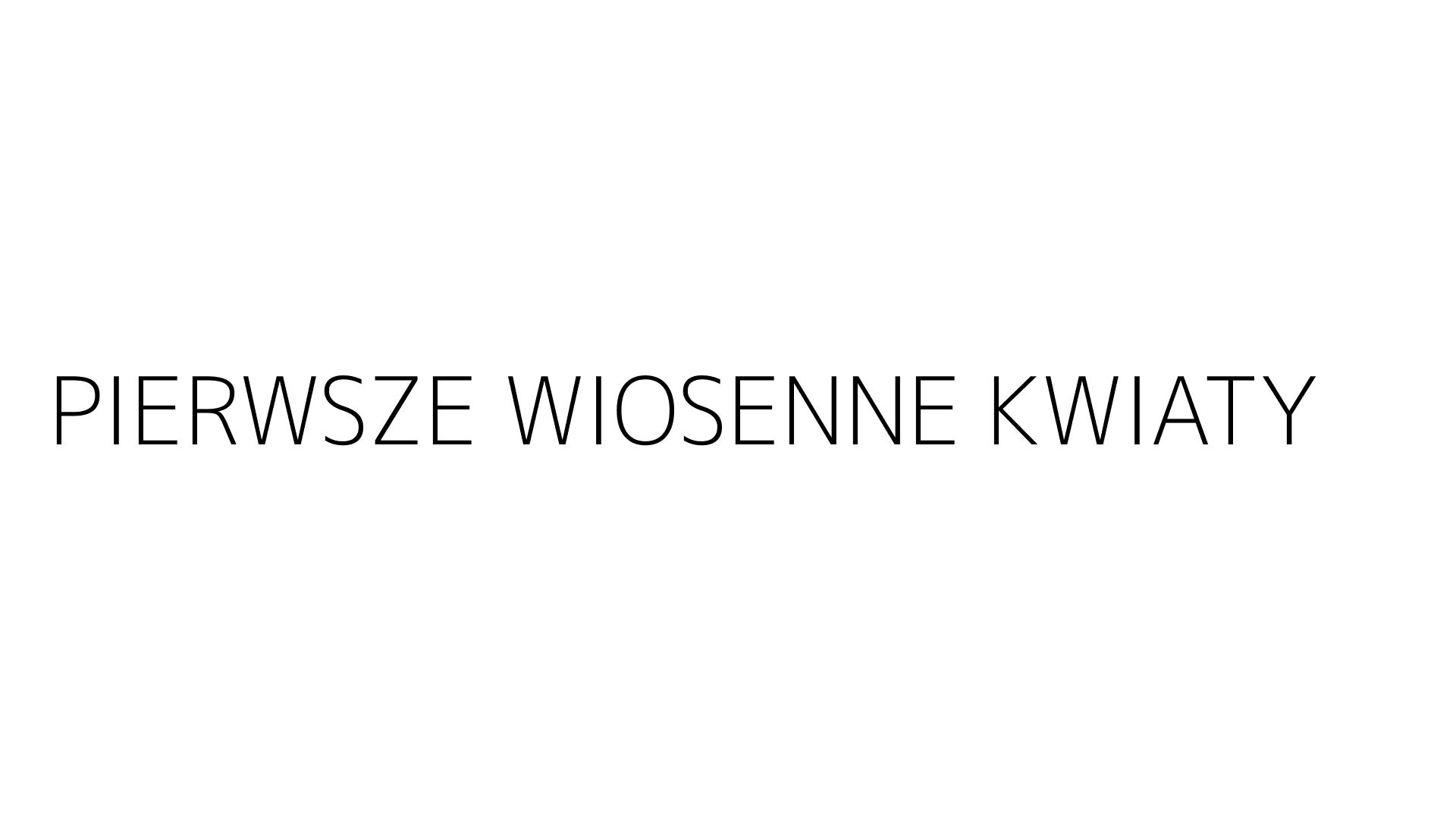 PIERWSZE WIOSENNE KWIATY